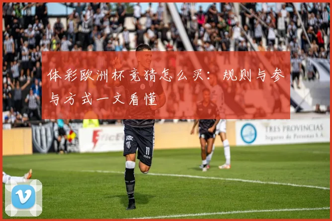 体彩欧洲杯竞猜怎么买:规则与参与方式一文看懂