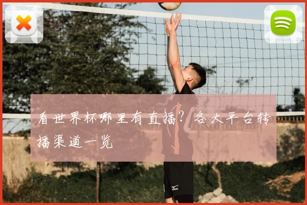 看世界杯哪里有直播？各大平台转播渠道一览